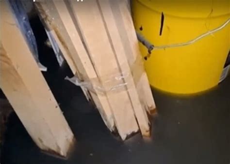 Мазета в блок в Перник се пълнят с фекални води, плъзнаха огромни плъхове