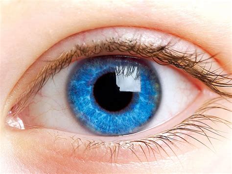 7 dicas para manter a saúde ocular