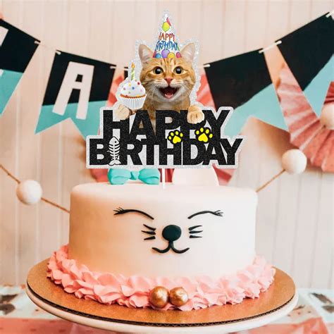 happy birthday funny cat 2