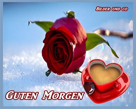 ᐅ Guten Morgen Bilder - Guten Morgen GB Pics - GBPicsOnline