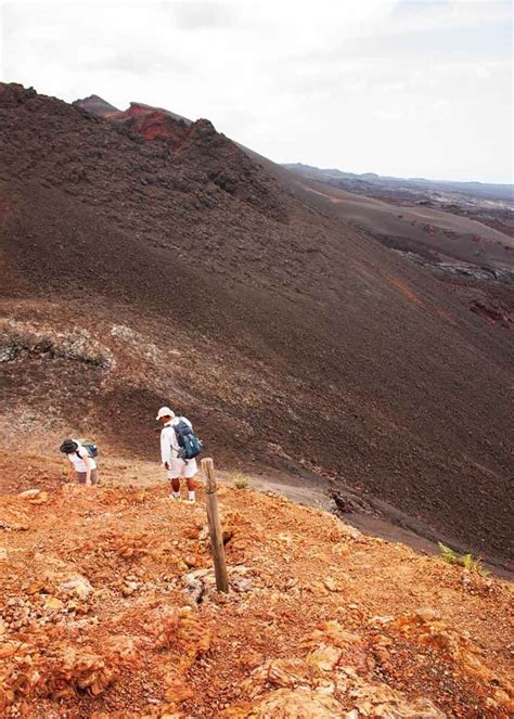 21 Galapagos Islands Volcanoes (Active, Dormant, Location Chart ...