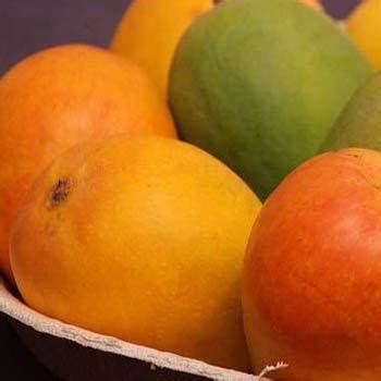 Kesar Mangoes at ₹ 800/kg | Gir Kesar in Surat | ID: 2856629673