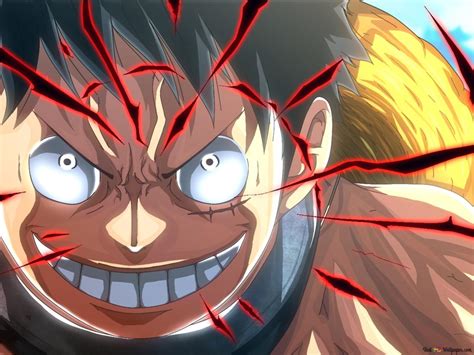 Luffy Conqueror Haki Wallpaper - vrogue.co