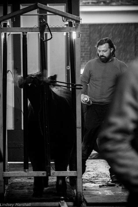 Lindsey Marshall Photography | Nauvoo IL