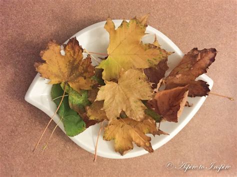 *LETS EAT SOME LEAVES* – Aspire To Inspire
