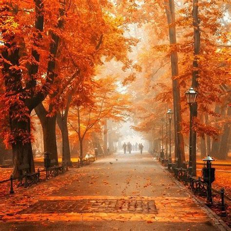 Beautiful Fall (37 pics)