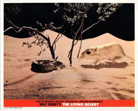 LIVING DESERT | Rare Film Posters