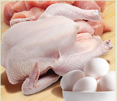 Fresh Poultry at best price in Hyderabad by Purin Products | ID ...