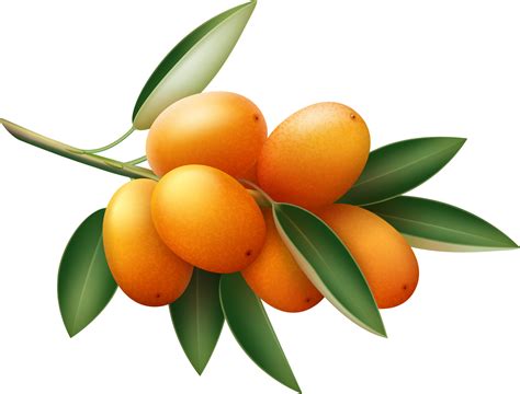 Ягодный чай - новинка Чистая линия