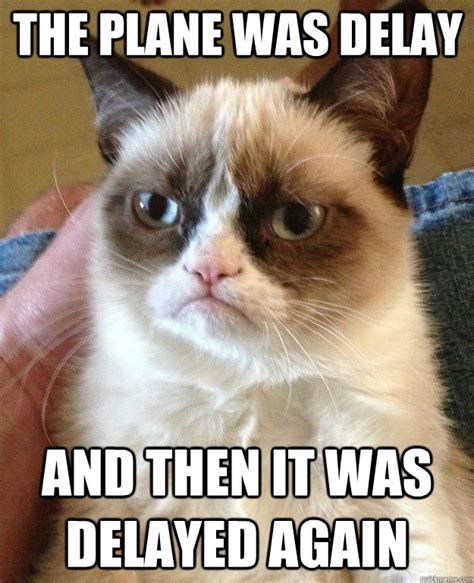 the plane was delay and then it was delayed again - Grumpy Cat - quickmeme