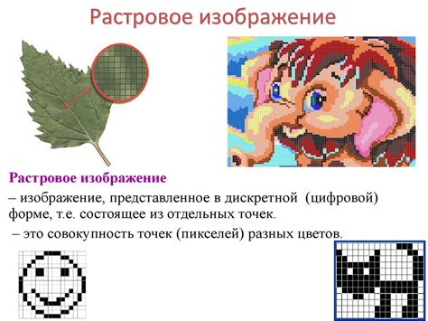 Растровая и векторная графика - презентация онлайн