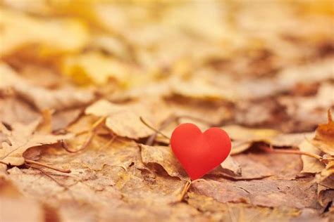 Love Stock Photos, Images and Backgrounds for Free Download