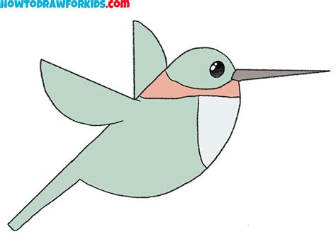 How to Draw a Hummingbird Step by Step - Easy Drawing Tutorial