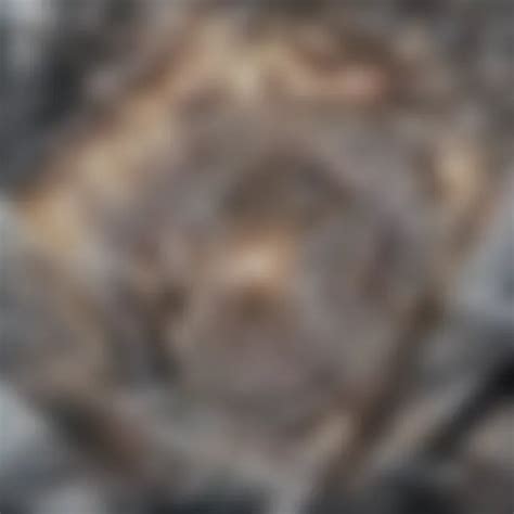 exploring pleural plaques linked  asbestos exposure