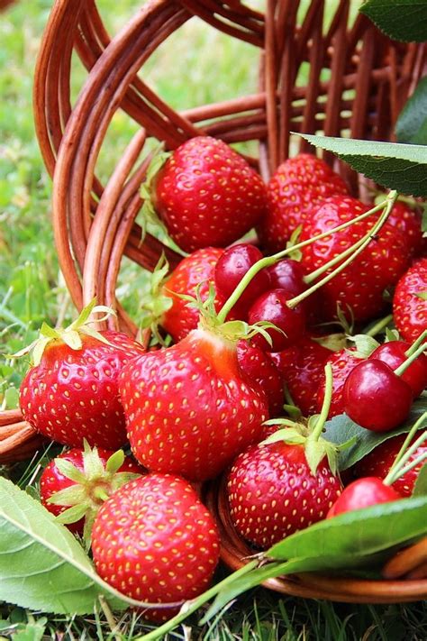 C h a r m é | Вдохновение в фотографиях. Запись со стены. | Frutas y ...