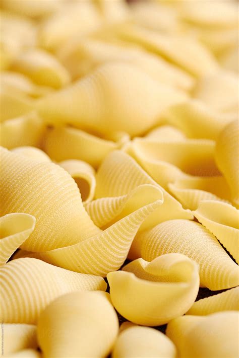 "Giant Pasta Shells (Conchiglie)" by Stocksy Contributor "Harald Walker ...