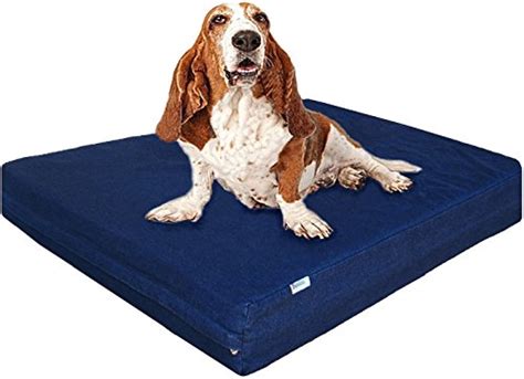 Best Waterproof Dog Bed Liner: Reviews By Wirecutter