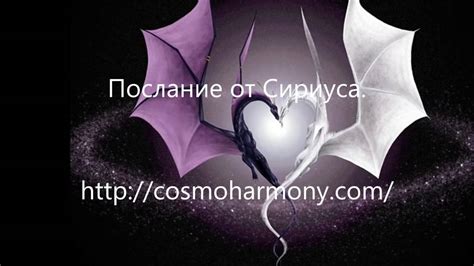 Сириус. Гармонизация. Ченнелинг - YouTube
