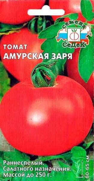Томаты для открытого грунта в Сибири - Огород