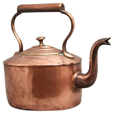French Polished Copper Fish Kettle, Poissoniere, or Container, 19th ...