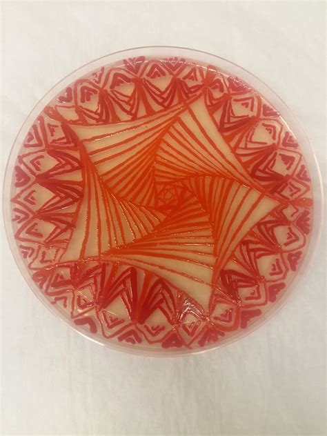 Microbial Art