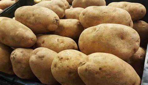 Best potatoes for French fries: which variety? – GrowerExperts