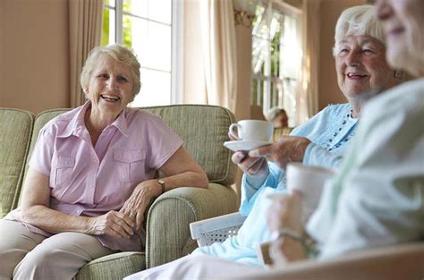 senior citizen population  state   census