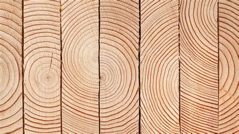 de voordelen van hout als bouwproduct hout