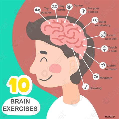 brain exercise info graphic vector illustration stock vector