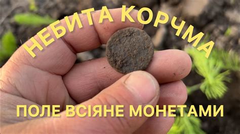 НЕБИТА КОРЧМА ПОЛЕ ВСІЯНЕ МОНЕТАМИ копаю з MD Nokta Legend - YouTube