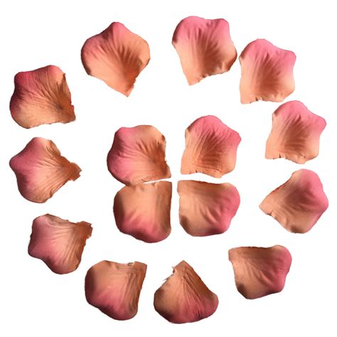 Peach Coral Flower Petals Micropeach Fabric Petals 500pcs - VANRINA