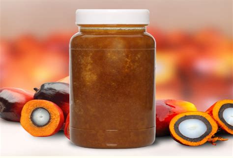 PAO (PALM ACID OIL) | MCI