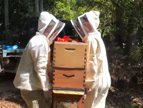 how to move a bee hive in minecraft