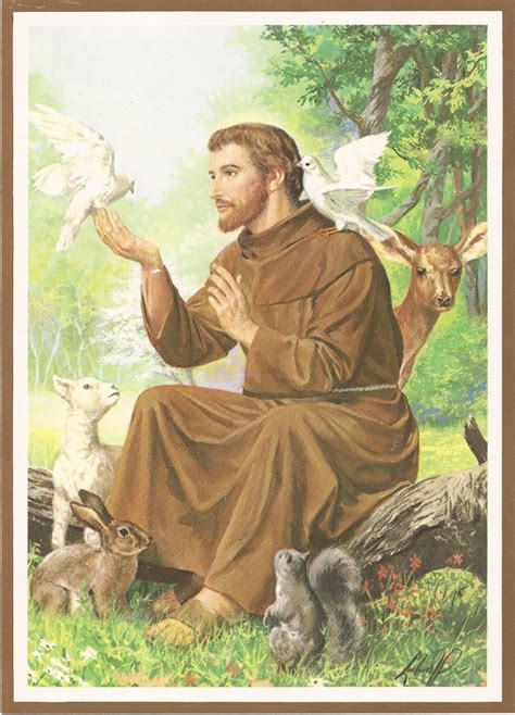 saint francis    harrison trethowan blog