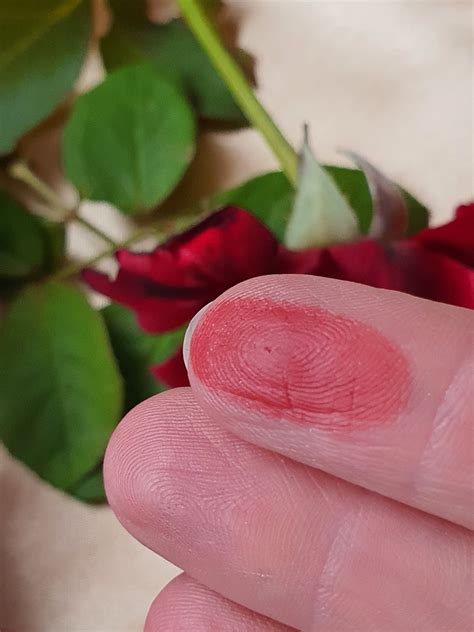 Красота люкса с помадой для губ Guerlain Rouge G Luxury Velvet Lipstick ...