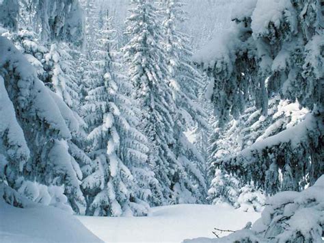 Free Desktop Wallpapers Winter Scenes - Wallpaper Cave