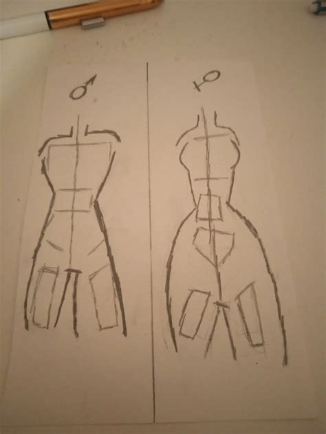 Bodies