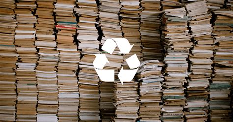 Paper Recycle
