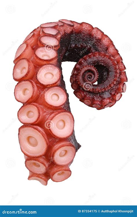 Tentacles Of Octopus Royalty-Free Stock Photography | CartoonDealer.com ...