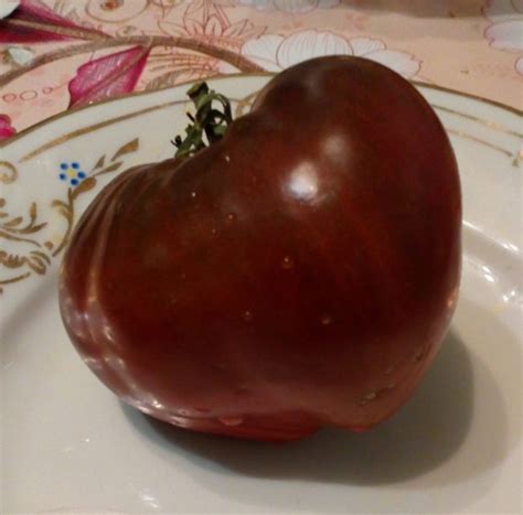 Dwarf Purple Heart (Гном Пурпурное Сердце) • СВеточки