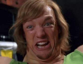 SHAGGY is the January 2019 MEME OF THE MONTH : r/dankmemes