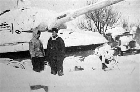 100 лучших фото Тигр 2