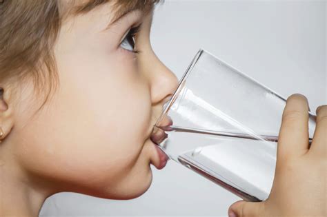 Why is lead in drinking water risky? | ZeroWater-Europe