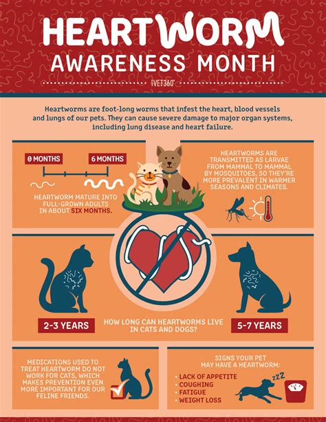 What Months Should I Give My Dog Heartworm Medicine