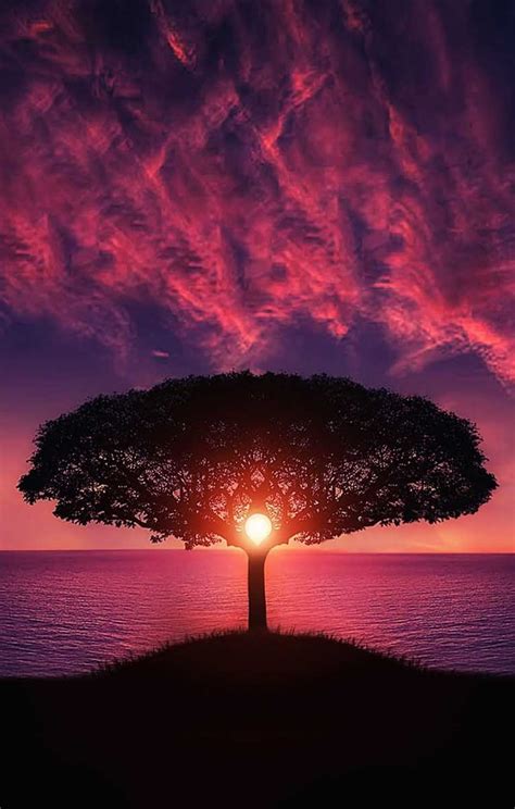 Nature Photography Inspiration | 30 Pictures - Doozy List