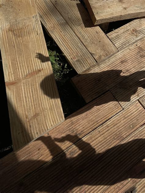 NERINGA FOREST CLASSROOM EDUCATIONAL MATERIALS - Neringa Forest