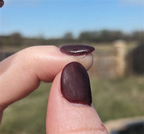 Am I being too picky or are these not well done? (The dip doesn't cover