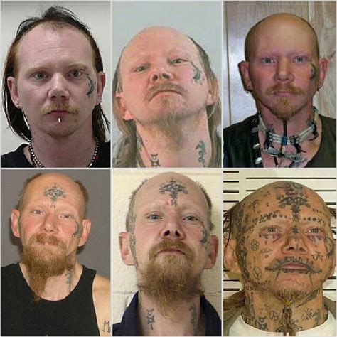 Darwinian Evolution : r/pics