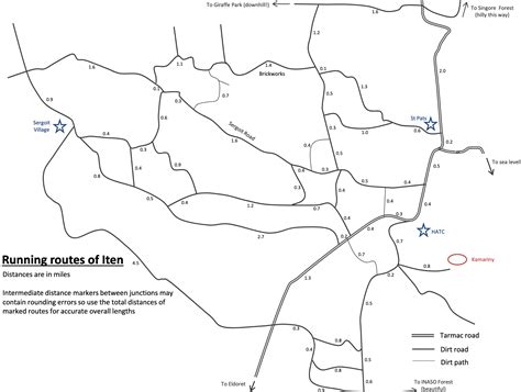 Global running fans are debating why iten produces so many champions 16