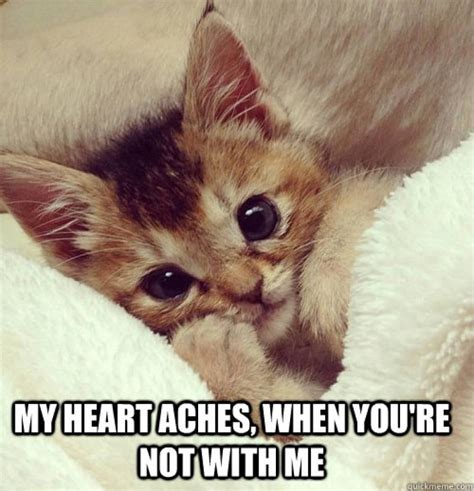 49 I Love You Meme Cute Pictures and Images | QuotesBae